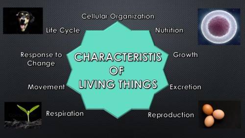 How do we determine if a characteristic of life is common to all living things?