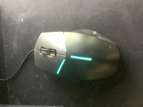 What is the estimated size of mouse skin