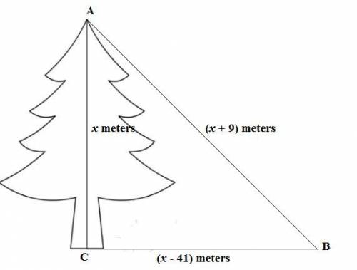 A Christmas tree is supported by a wire that is 9 meters longer than the height of the tree. The wir
