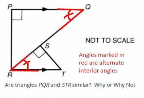 Are the triangles PQR and RST similar why or why not?