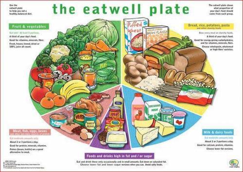 Poster on: eat safe, eat healthy and please, I don't want any food pyramids. thanks