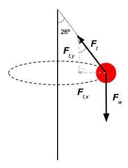 A tetherball is tied to the end of a 2.1-m string of negligible mass. The ball is struck so that it