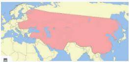 What Was the Largest Contiguous Empire in History?
please help :)