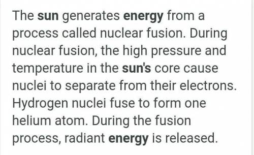 What happens to the energy in sunlight? 
I