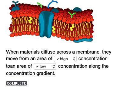 When materials diffuse across a membrane, they move from an area of

concentration to an area of 
co