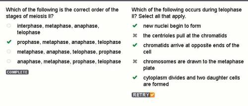 Which of the following occurs during telophase II? Select all that apply.

1) New nuclei begin to fo