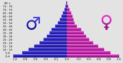 1. What is a population pyramid?
