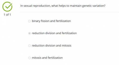 In sexual reproduction, what helps to maintain genetic variation?

a. reduction division and fertili