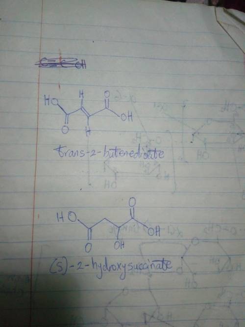 In acid solution, water can add to the double bond of 2‑butenedioic acid to form 2‑hydroxysuccinic a