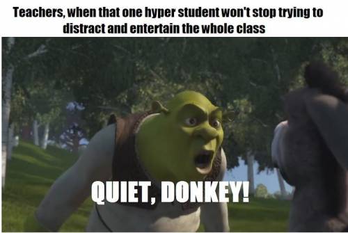 FREE POINTS! WILL GIVE BRAINLIEST TO WHOEVER FINDS THE FUNNIEST SHREK MEME
