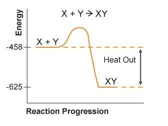 Mc011-1.jpg which kind of reaction does this graph represent?