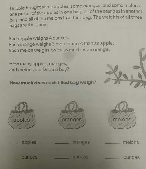 How much does each filled bag weigh? how many apples, oranges, and melons did debbie buy?