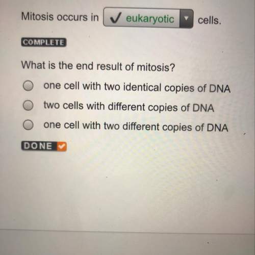 What is the end result of mitosis?