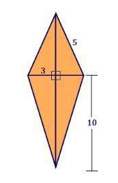 Find the area of the kite. the figure is not drawn to scale.