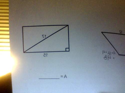 Find the area of the whole rectangle.
