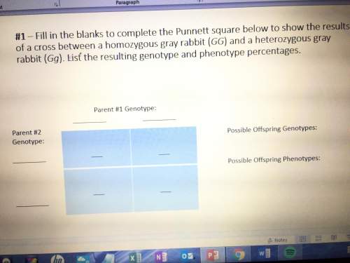 It says fill in the blanks to complete the punnett square below to show the results of a cross betwe