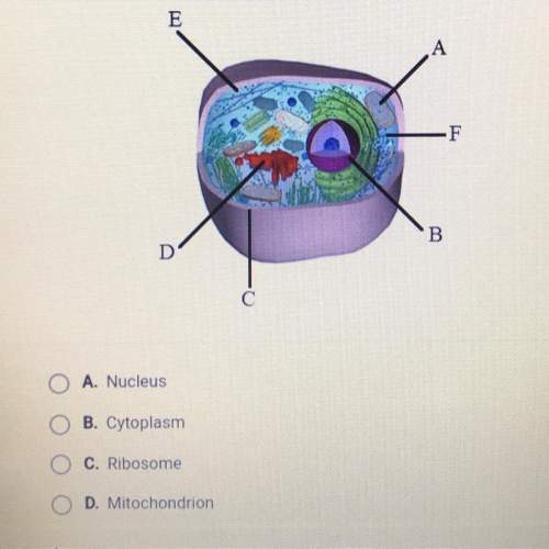What is the structure labeled e in the diagram below?  a . nucleus  b. cytop