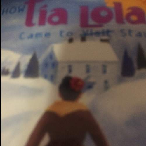 In chapter 4 in "tia lola came to visit / stay" what's the main idea?