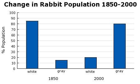 In 1850 there was a large snowshoe rabbit population in manitoba, canada. over the years, the winter