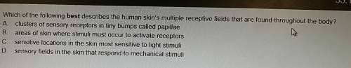 Which of the following best describes the human skin's multiple receptive fields that are found thro