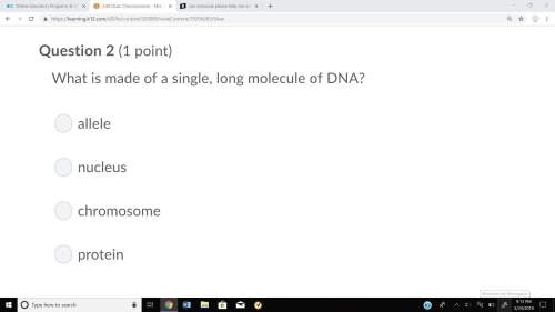 Can someone me with biology on chromosomes?