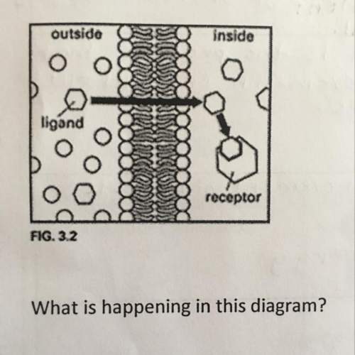 what is happening in this diagram?