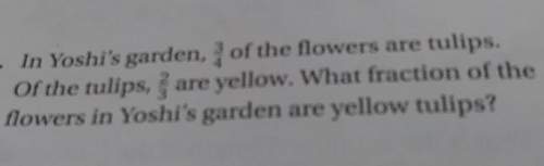 In yoshi's garden 3/4 of the flowers are tulips. of the tulips 2/3 are yellow. what fraction of flow