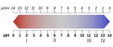 20 or 15 points four different solutions (i, ii, iii, and iv) are labeled on the ph scale belo