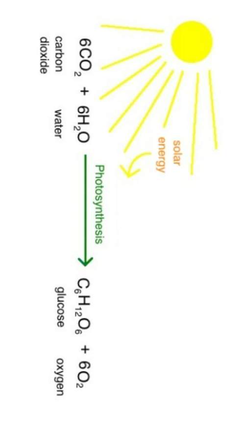 Explain the formula for photosynthesis