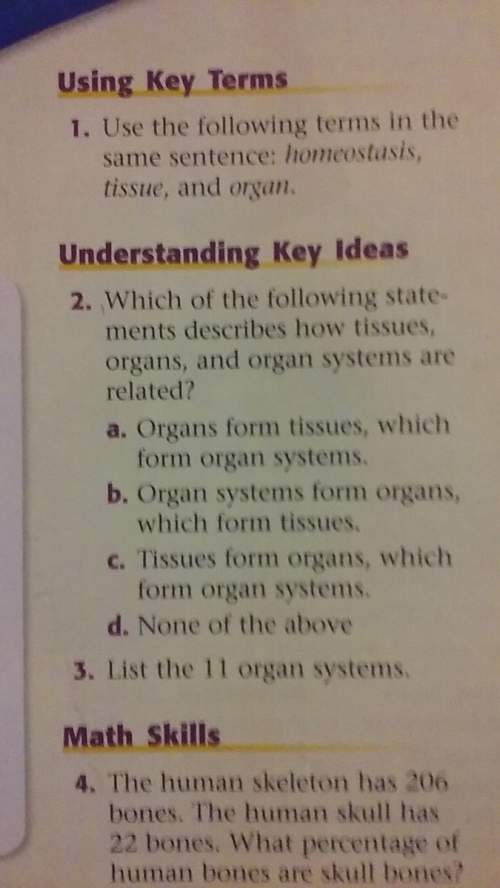 Which of the following statements describes how tissues, organs, and organ systems are related?