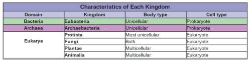 This table incudes the characteristics of all major kingdoms. based on the table,