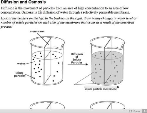 Look at the top left beaker. what would happen if the membrane did not allow water or solute particl