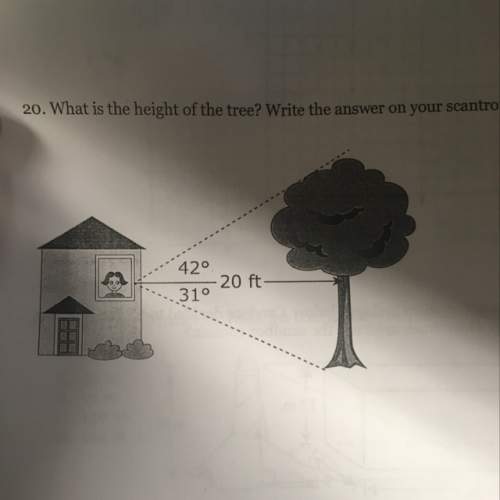 What is the height of the tree?