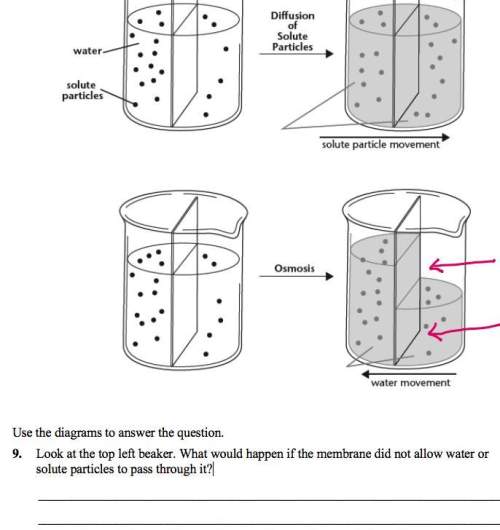 Look at the top left beaker. what would happen if the membrane did not allow water or solute particl