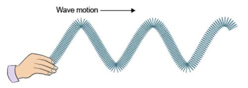 What is the motion of the particles in this kind of wave?  a. the particles will m
