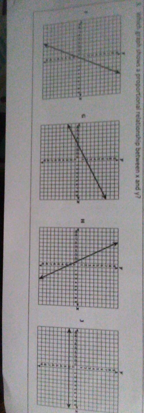 Which graph shows a proportional relationship between x and y