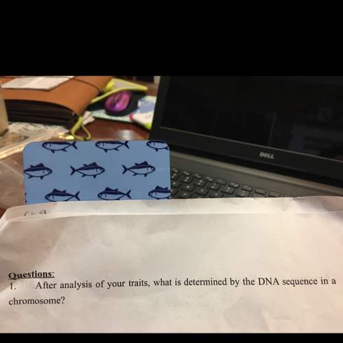 What determines the dna sequence in  the chromosome