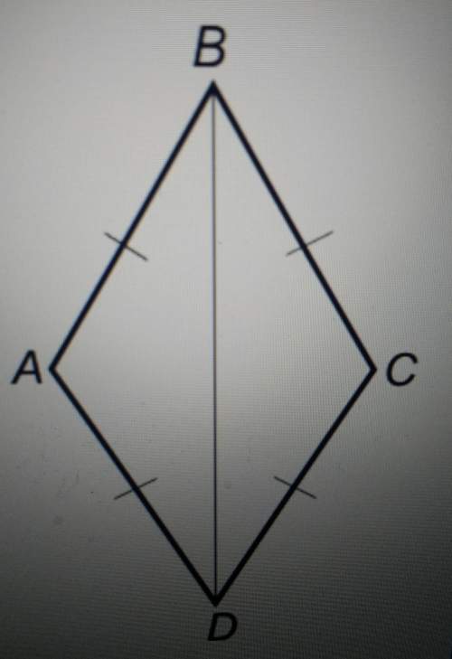 In the diagram, ab=bc=cd=da prove that triangle adb is congruent to triangle cdb