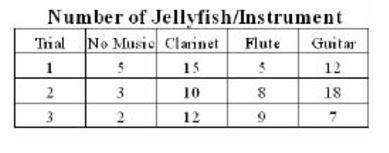 Squidward loves playing his clarinet and believes it attracts more jellyfish then any other instrume