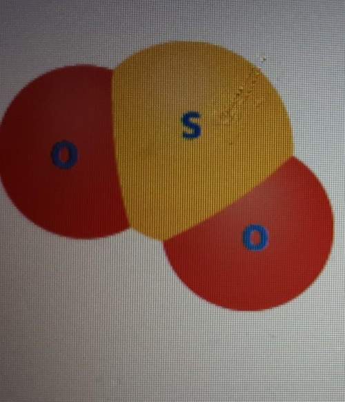 The diagram shows the structure of a molecule of sulfur dioxide. the ratio of oxygen atoms to sulfur