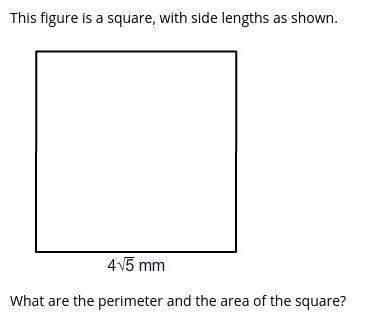 What are the perimeter and the area of the square?