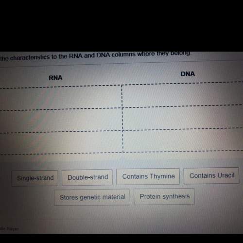 Plz hurry, drag the characteristics to the rna and dna columns where they belong