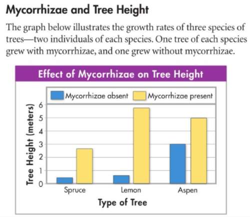 (contrast the growth of plants with mycorrhizae versus without mycorrhizae.