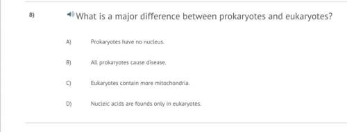 What is major difference between prokaryotes and eukaryotes?