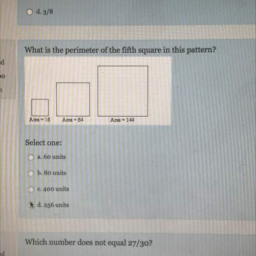 What is the perimeter of the fifth square in this pattern?