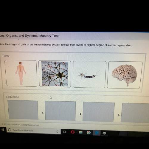 Place the images of parts of the human nervous system in order from lowest to highest degree of inte