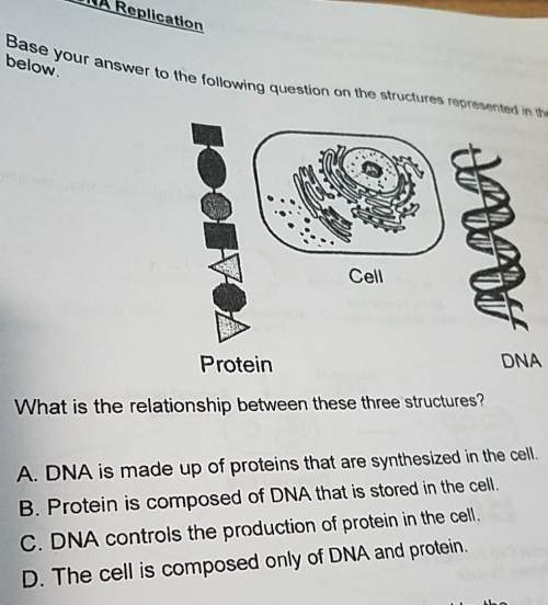 What is the relationship between these three structures? a. dna is made up of proteins that ar