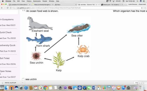 An ocean food web is shown. which organism has the most available energy?  a