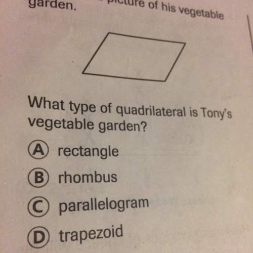 Tony drew a picture if his vegetable garden. what type of quadrilateral is tony’s