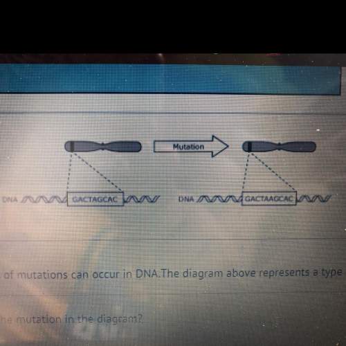 Different types of mutations can occur in dna the diagram above represents a type of mutation which